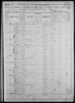 Census/1870CensusUSILEffinghamTeutopolisPg9.jpg