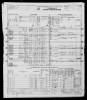 1950 Census - IL - Dewitt - 20-21 - Page 5