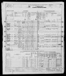 1950 Census - IL - Dewitt - 20-21 - Page 5